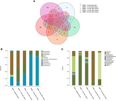 Perspective on intestinal microbiota temporal changes of herbal additives treated shrimp in a natural aquaculture setting
